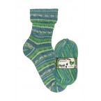 Opal Best of Opal Sock Yarn